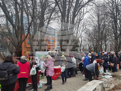 Плевен - подаряване на дръвчета - кампания