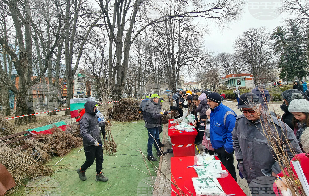 Близо 60 000 медоносни, плодови и горски дръвчета раздават от Гората.бг в Плевен днес