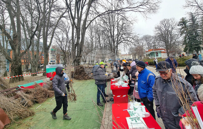 Близо 60 000 медоносни, плодови и горски дръвчета раздават от Гората.бг в Плевен днес