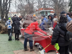 Плевен - подаряване на дръвчета - кампания