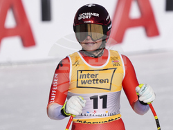 Austria Ski Worlds