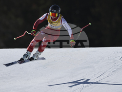 Austria Ski Worlds
