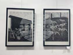 Пловдив - Дружество на пловдивските художници - изложба - графика