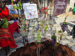 Мелник - „Златен грозд" - фестивал на мелнишкото вино