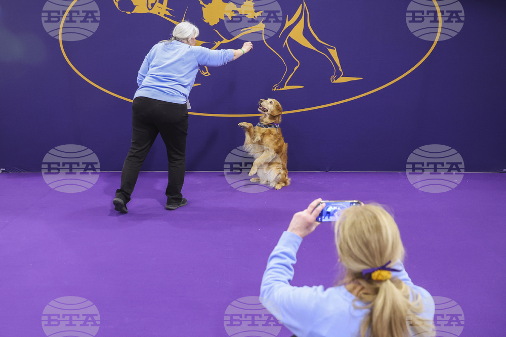 Westminster Dog Show