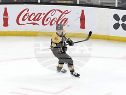 Golden Knights Bruins Hockey