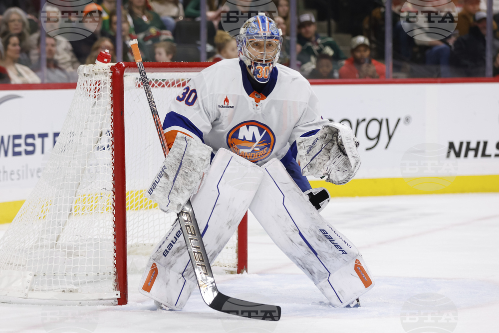 Islanders Wild Hockey