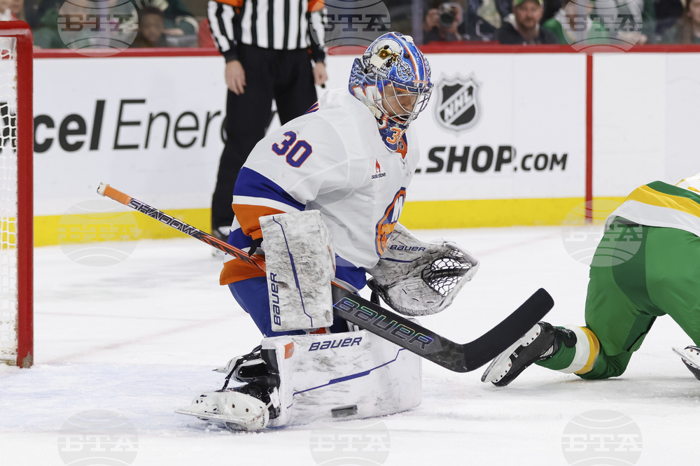 Islanders Wild Hockey