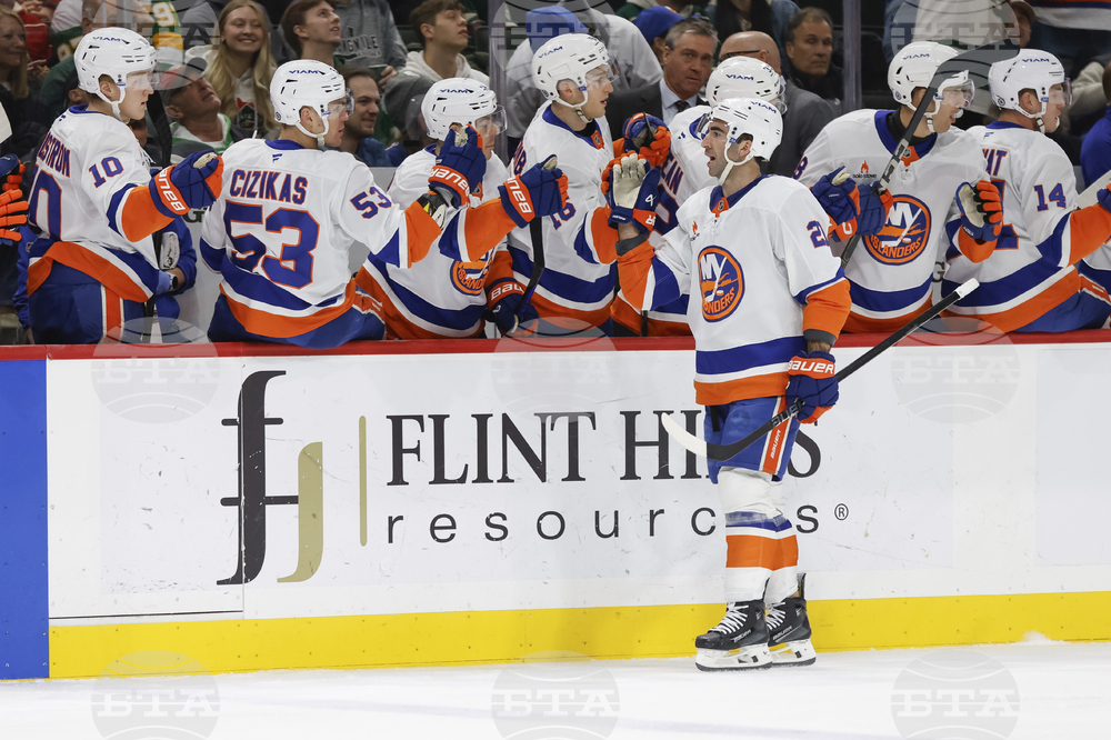 Islanders Wild Hockey