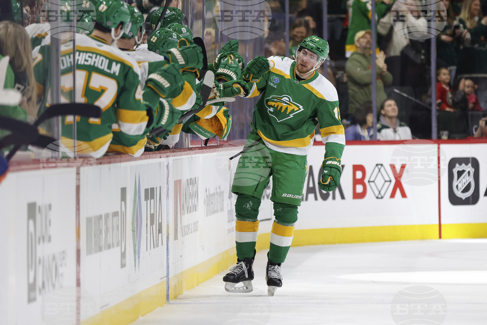Islanders Wild Hockey