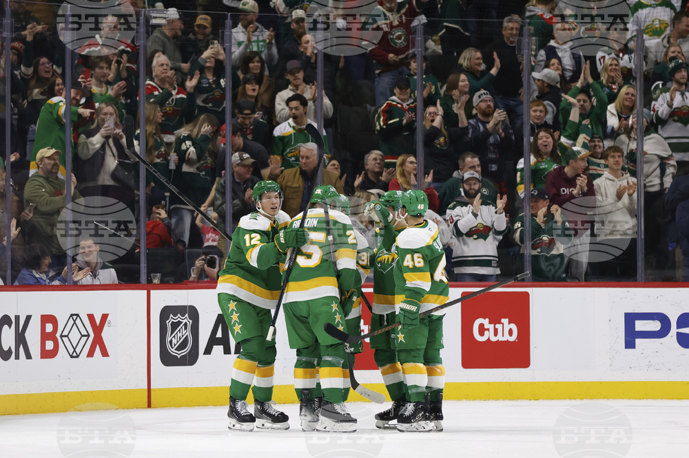Islanders Wild Hockey