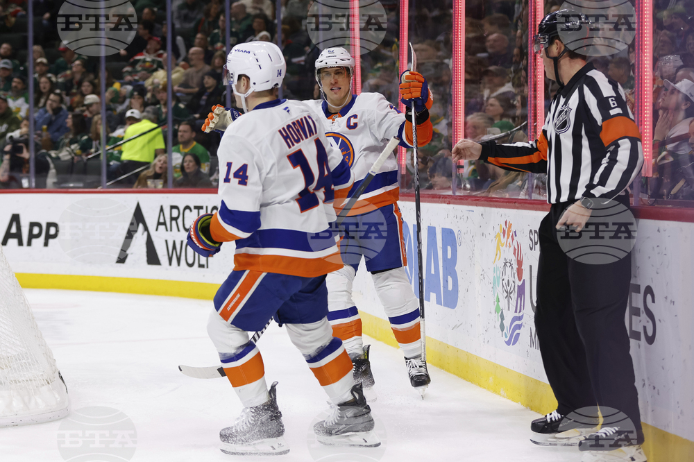 Islanders Wild Hockey