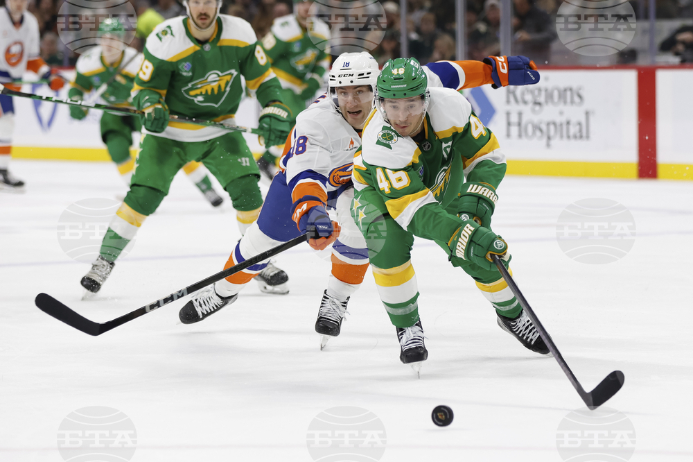 Islanders Wild Hockey