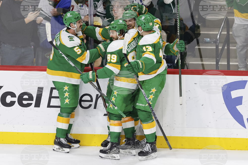 Islanders Wild Hockey
