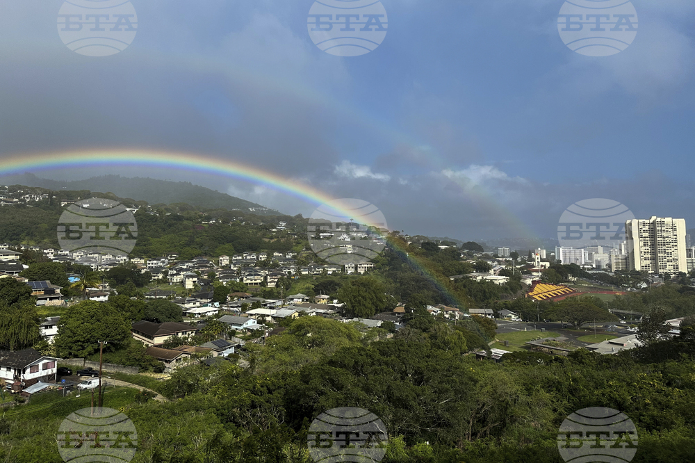 Hawaii Rainbows