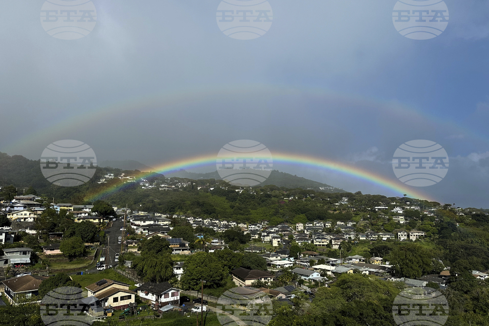 Hawaii Rainbows