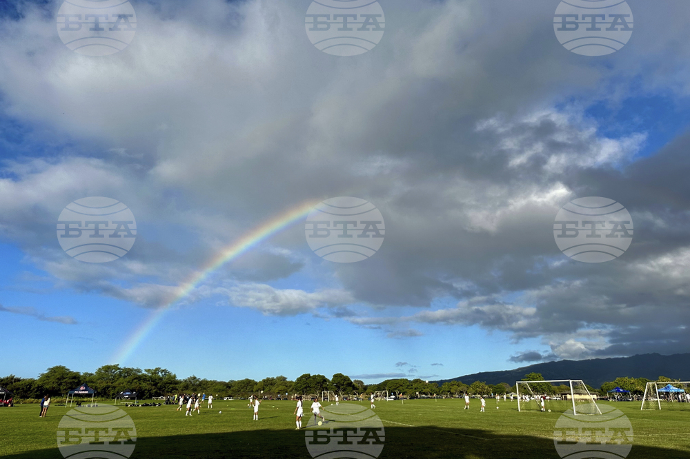 Hawaii Rainbows