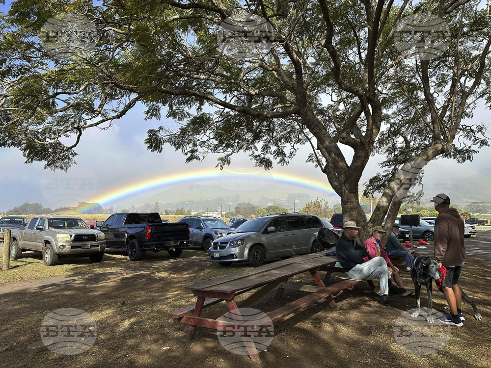 Hawaii Rainbows