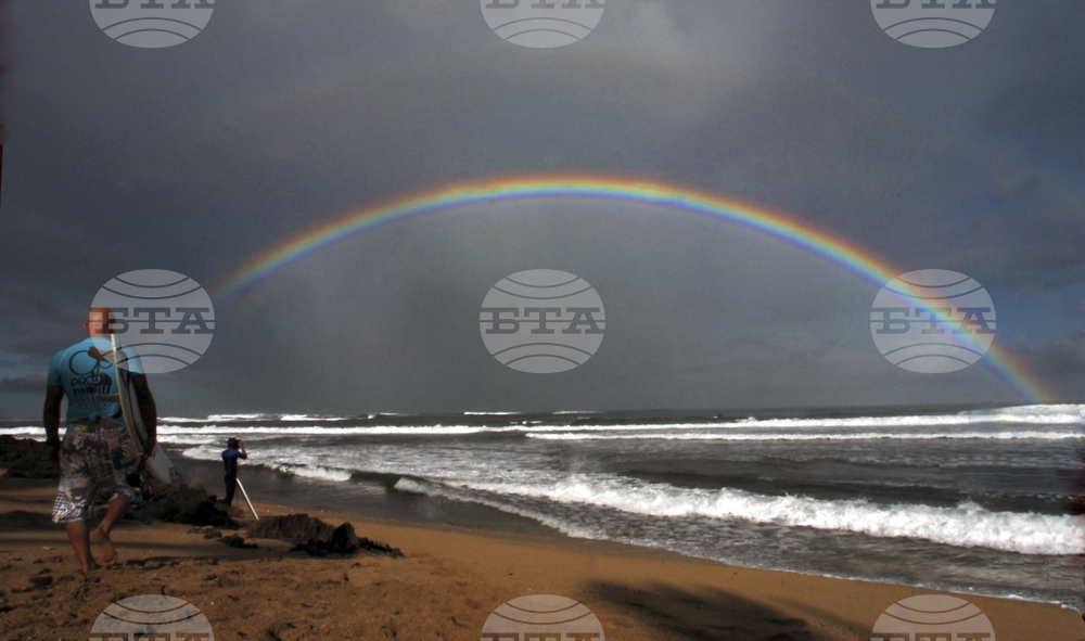 Hawaii Rainbows