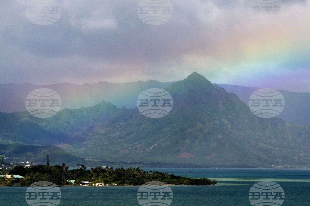 Hawaii Rainbows