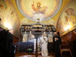 Видински митрополит - Света литургия