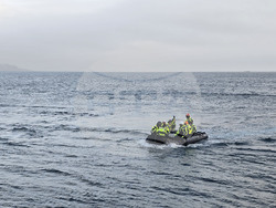 Антарктида - НИК 421 - о. Кинг Джордж - пета група