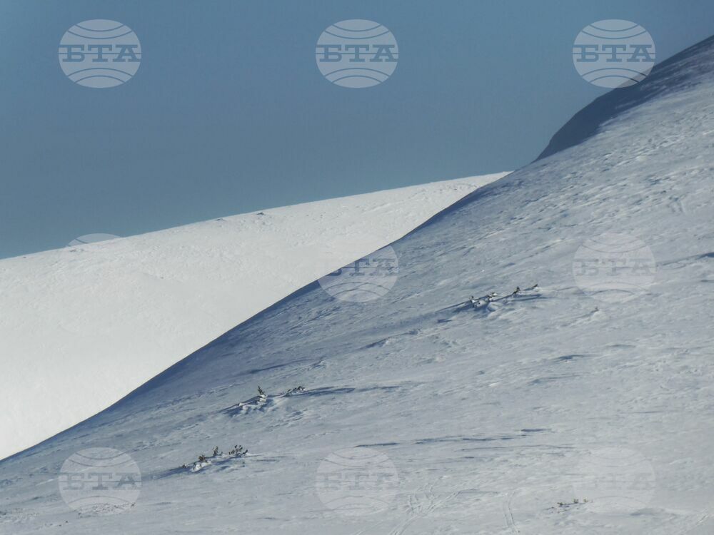 The Weather on February 10