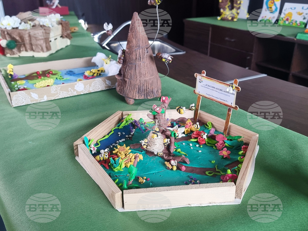 В Плевен до 4 февруари се приемат детски творби за конкурс, посветен на пчеларството