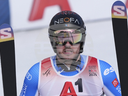 Austria Ski Worlds