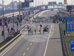Serbia Protests