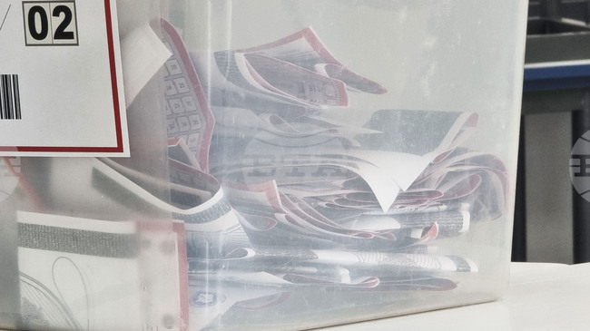 Общо 28 кандидати за депутати на предсрочните парламентарни избори в Косово на 28 декември са или са били замесени в престъпления