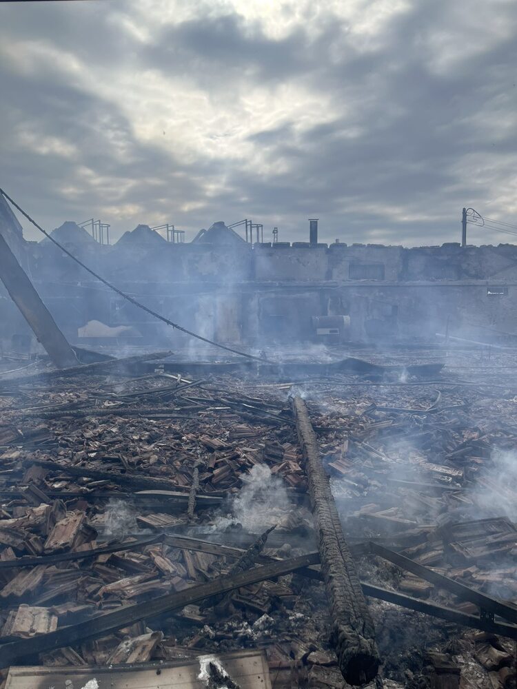 Десетки хиляди пилета са изгорели при пожара в птицеферма в чирпанското село Свобода 