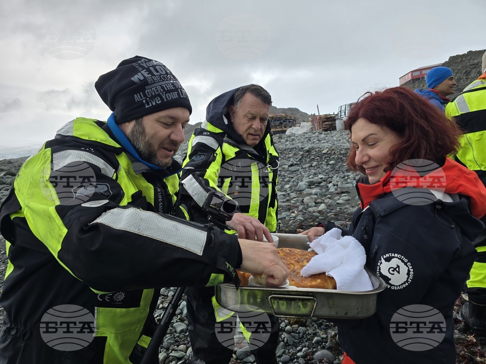 Antarctica - Livingstone Island - Base - Fifth Group - Reception