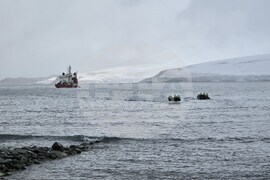 Antarctica - Livingstone Island - Base - Fifth Group - Reception