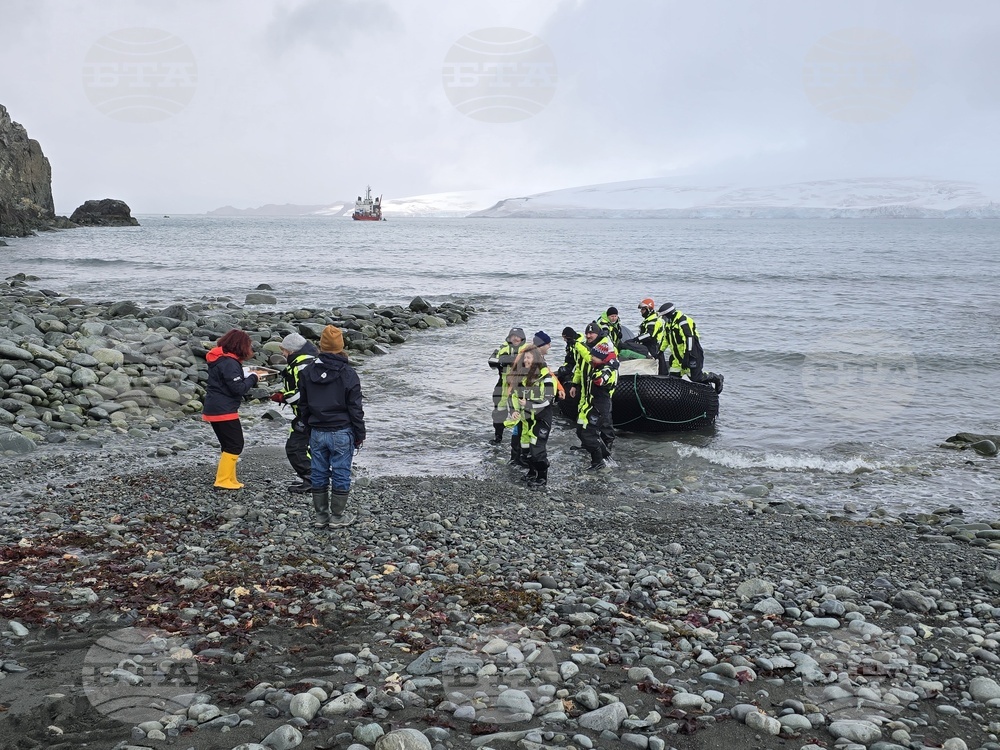 Antarctica - Livingstone Island - Base - Fifth Group - Reception