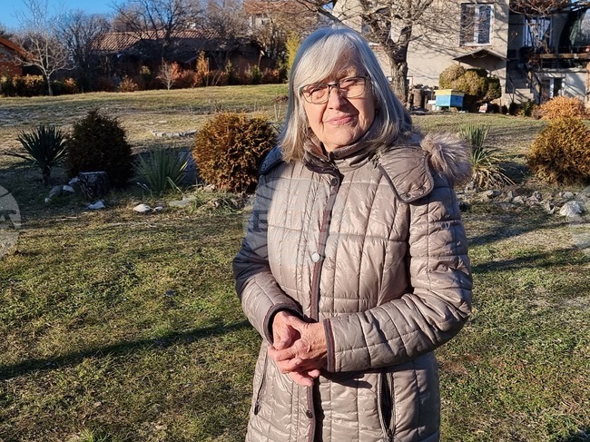 Изминалата година беше лоша за пчеларите в Пернишко, съобщи председателят на общинската пчеларска организация 