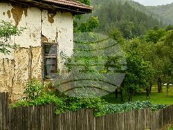 Сърбия - Долна Любата