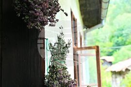 Сърбия - Долна Любата