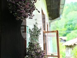 Сърбия - Долна Любата