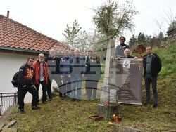 Сърбия - Долна Любата