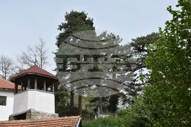 Сърбия - Долна Любата