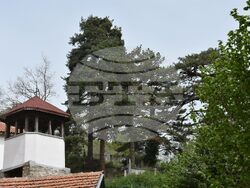 Сърбия - Долна Любата