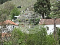 Сърбия - Долна Любата