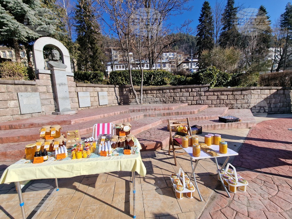 С базар на пчелни продукти започна отбелязването на празника на пчеларите в Смолян