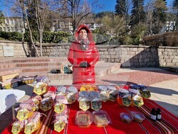 Смолян - празник на пчеларя