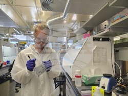 Endangered Bat Arizona