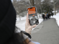 20th Anniv. of The Gates at The Shed and Central Park