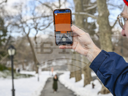 20th Anniv. of The Gates at The Shed and Central Park