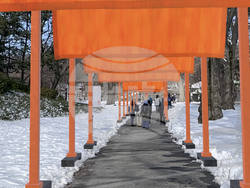 20th Anniv. of The Gates at The Shed and Central Park