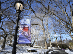 20th Anniv. of The Gates at The Shed and Central Park